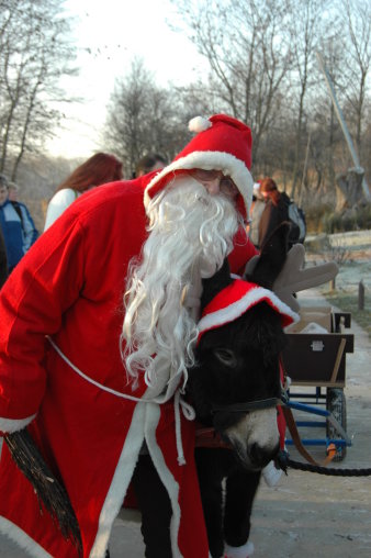 Foto: Weihnachtsmann im Zoo © Thüringer Zoopark Erfurt Weihnachtsmann mit Esel