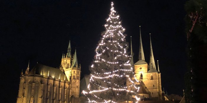 Nachtaufnahme mit zwei Kirchen, dazwischen steht ein Weihnachtsbaum.