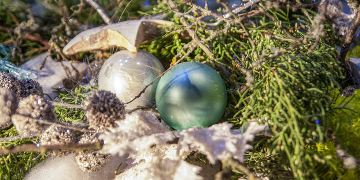 Online-Voting: Weihnachtliches Schaufenster gesucht