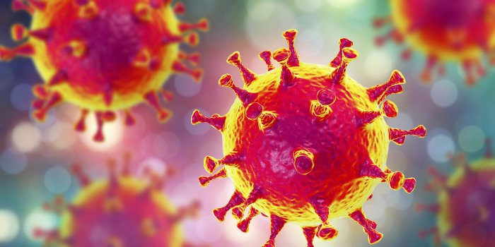 Foto: Virus © Kateryna Kon/123rf Stark vergrößerte Viren