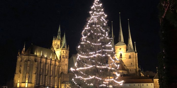 Foto: Blick auf Rupfi, den Weihnachtsbaum © Stadtverwaltung Erfurt Weihnachtsbaum 2018 mit Blick auf Dom und Severi