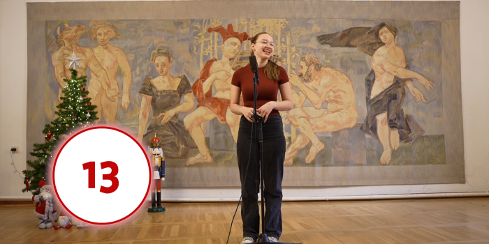 Interner Verweis: Türchen 13